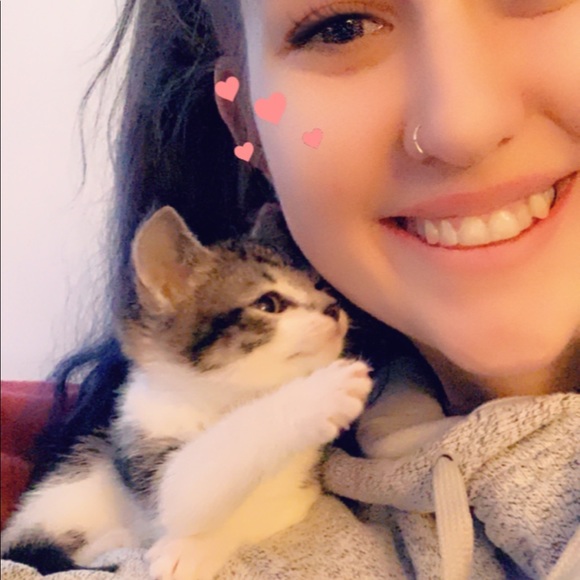 Welcome, to Wiley’s Wonders! - Picture 8 of 13